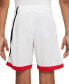 ფოტო #6 პროდუქტის Big Boys Dri-FIT Standard-Fit Colorblocked Basketball Shorts