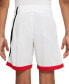 Фото #6 товара Big Boys Dri-FIT Standard-Fit Colorblocked Basketball Shorts