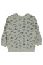 Фото #10 товара Erkek Çocuk Sweatshirt 2-5 Yaş Gri