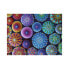 Puzzle Bunte Seeigel 1500 Teile