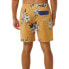 RIP CURL Aloha Hotel Volley Swimming Shorts