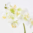 Фото #7 товара Искусственные цветы Homescapes Phalaenopsis weiß-grüne 32 см