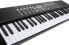 Фото #2 товара AXMAN LP5450 Keyboard incl. Microphone and power supply connector, 54 buttons, battery operated 6 x AA (power supply and batteries not included)