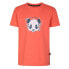 ფოტო #4 პროდუქტის DARE2B Trailblazer short sleeve T-shirt