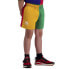 Фото #1 товара CANTERBURY Harlequin Junior Shorts