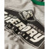 Фото #2 товара SUPERDRY Core Logo AC Ringer short sleeve T-shirt