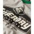 SUPERDRY Core Logo AC Ringer short sleeve T-shirt