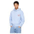 Фото #2 товара TOMMY JEANS Reg 3D Street Tj Hood Ext hoodie