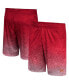 Фото #2 товара Men's Cardinal USC Trojans Walter Shorts