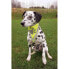 Фото #4 товара TRIXIE Reflective Safety Scarf