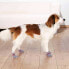 Фото #3 товара TRIXIE Dog Socks