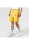 Фото #1 товара Шорты мужские Nike Sportswear Revival Fleece
