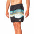 Плавки мужские Rip Curl Framed Volley Чёрный