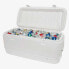 Фото #5 товара IGLOO COOLERS Polar 120 114L Rigid Portable Cooler