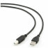 USB A to USB B Cable GEMBIRD CCP-USB2-AMBM-10 3 m Black