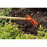 ფოტო #3 პროდუქტის STOCKER 12 Teeth 1.4 m Rake