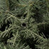 Фото #10 товара Künstlicher Weihnachtsbaum 220 cm