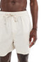 Фото #4 товара Goldsboro resort beach shorts in natural