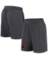 ფოტო #1 პროდუქტის Men's Anthracite Georgia Bulldogs 2024 Sideline Performance Shorts