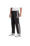 Фото #1 товара 3S CARGO PANT Erkek PANTOLON HR3364