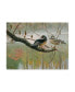 Фото #1 товара Michael Budden Colors of Autumn Duck Canvas Art - 15" x 20"