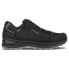 ფოტო #2 პროდუქტის LOWA Renegade EVO Goretex Low Hiking Shoes