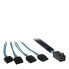 Фото #1 товара Inter-Tech 0.5m SFF 8643/4x SATA - 0.5 m - SFF 8643 - 4x SATA - Male/Male - Black - Blue - 35 g