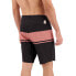 Фото #5 товара GLOBE Bootleg Dreams Boardshort Swimming Shorts