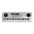 REIG MUSICALES Electronic Organ 61 Keys With USB Microphonetoma And 73x22.8x6.5 cm Audio Cable