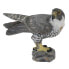 COLLECTA Peregrine Falcon Figure