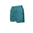 NIKE SWIM 4´´ Volley swimming shorts Dusty Cactus, L - фото #1