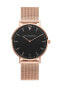 Paul Valentine Damen Armbanduhr PEARL ROSE GOLD MESH 38 MM PV38211