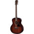 Taylor AD26e Baritone-6 Special Edi