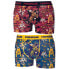 Фото #1 товара FREEGUN PK1848 boxers 2 units