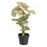 Фото #1 товара Декоративное растение Красный Зеленый PVC 40 x 35 x 55 cm