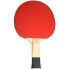 Фото #3 товара Ping-pong racket Butterfly Timo Boll SG11 85012