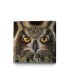 Фото #1 товара Dino Tomic Owl Splatter Museum Mounted Canvas 18" x 18"