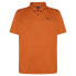 Фото #1 товара OAKLEY APPAREL Icon Tn Protect RC short sleeve polo