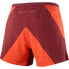 Фото #2 товара SALOMON Cross 5´´ Shorts