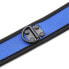 Фото #5 товара Neoprene Puppy Collar Adjustable Blue