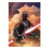 Фото #1 товара Fototapete Star Wars Classic Darth Maul