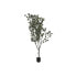 Фото #1 товара Дерево Home ESPRIT полиэтилен Цемент Эвкалипт 80 x 80 x 220 cm