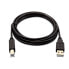 Фото #1 товара V7 Black USB Cable USB 2.0 A Male to USB 2.0 B Male 2m 6.6ft - 2 m - USB A - USB B - USB 1.0 - 480 Mbit/s - Black