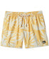 ფოტო #1 პროდუქტის Men's Everyday Mix Volley 17Nb Drawcord Boardshorts