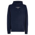 TOMMY JEANS Reg Entry Graphic Ext hoodie