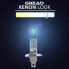 Фото #3 товара Gread Box Halogen Lamps in Xenon Look H1 to H11 in Super White 8500K 55W