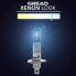 Gread Box Halogen Lamps in Xenon Look H1 to H11 in Super White 8500K 55W