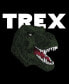 ფოტო #3 პროდუქტის Men's Raglan Baseball Word Art T-Rex Head T-shirt