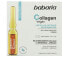 VEGAN COLLAGEN intense firming ampoules 5 x 2 ml