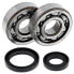 Фото #2 товара All BALLS 24-1014 Crank Shaft Bearing Kit